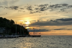SstrBaySnSt_1832